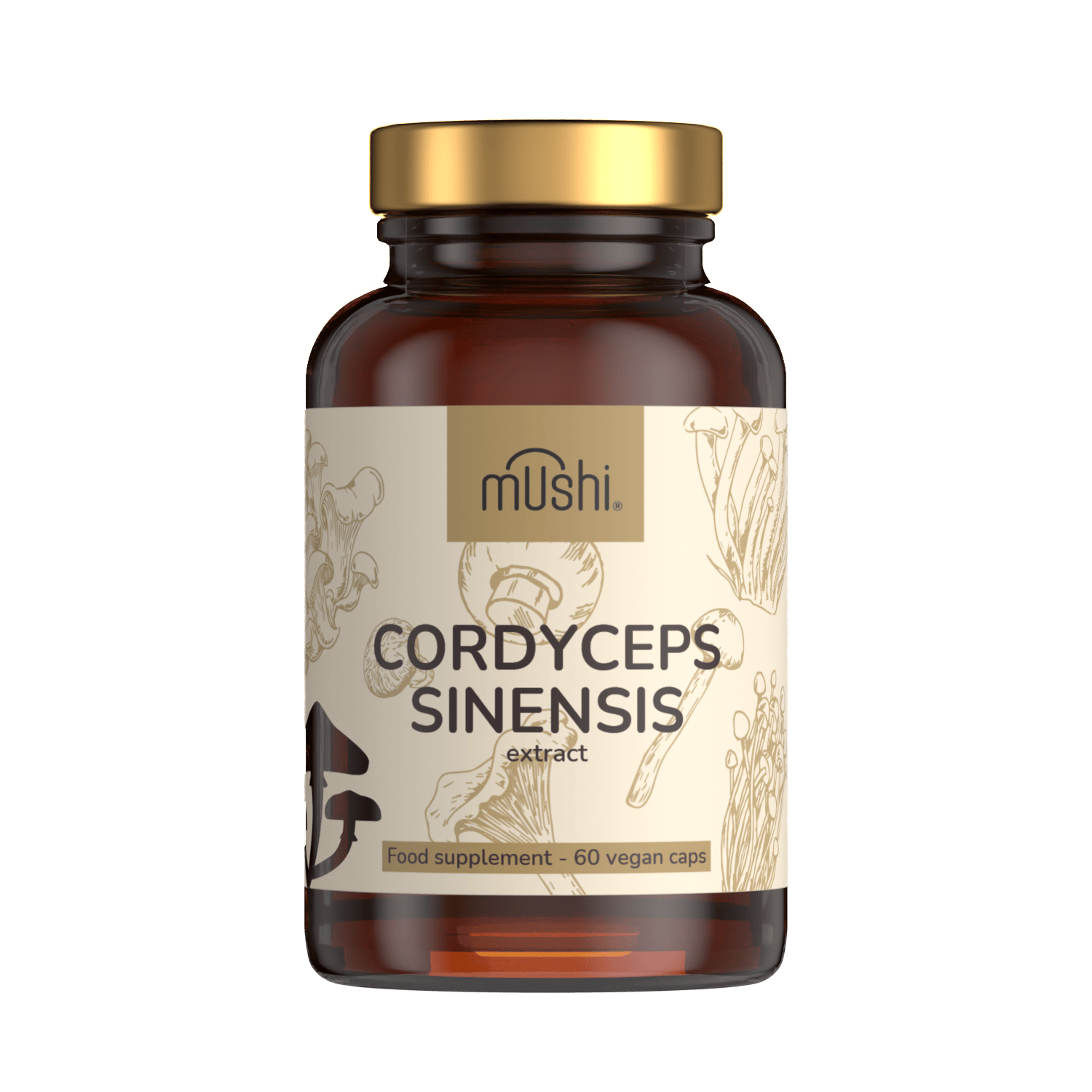 Hernyógomba_Cordyceps