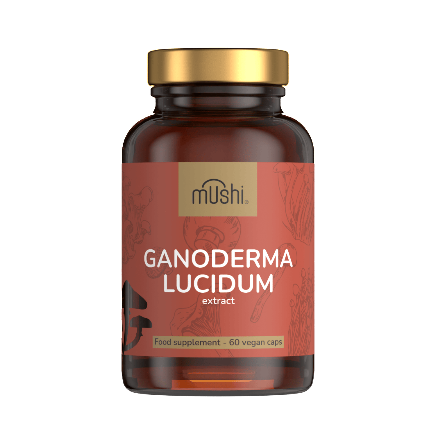 Ganoderma_pecsétviaszgomba
