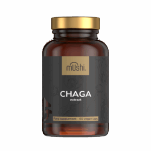 chaga gyógygomba