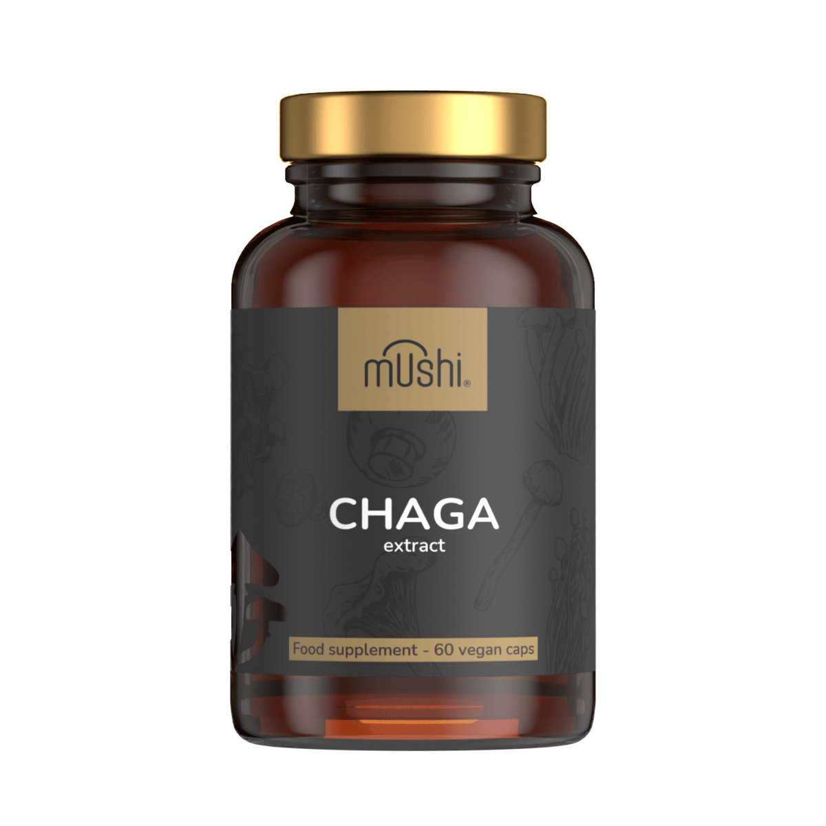 chaga gyógygomba