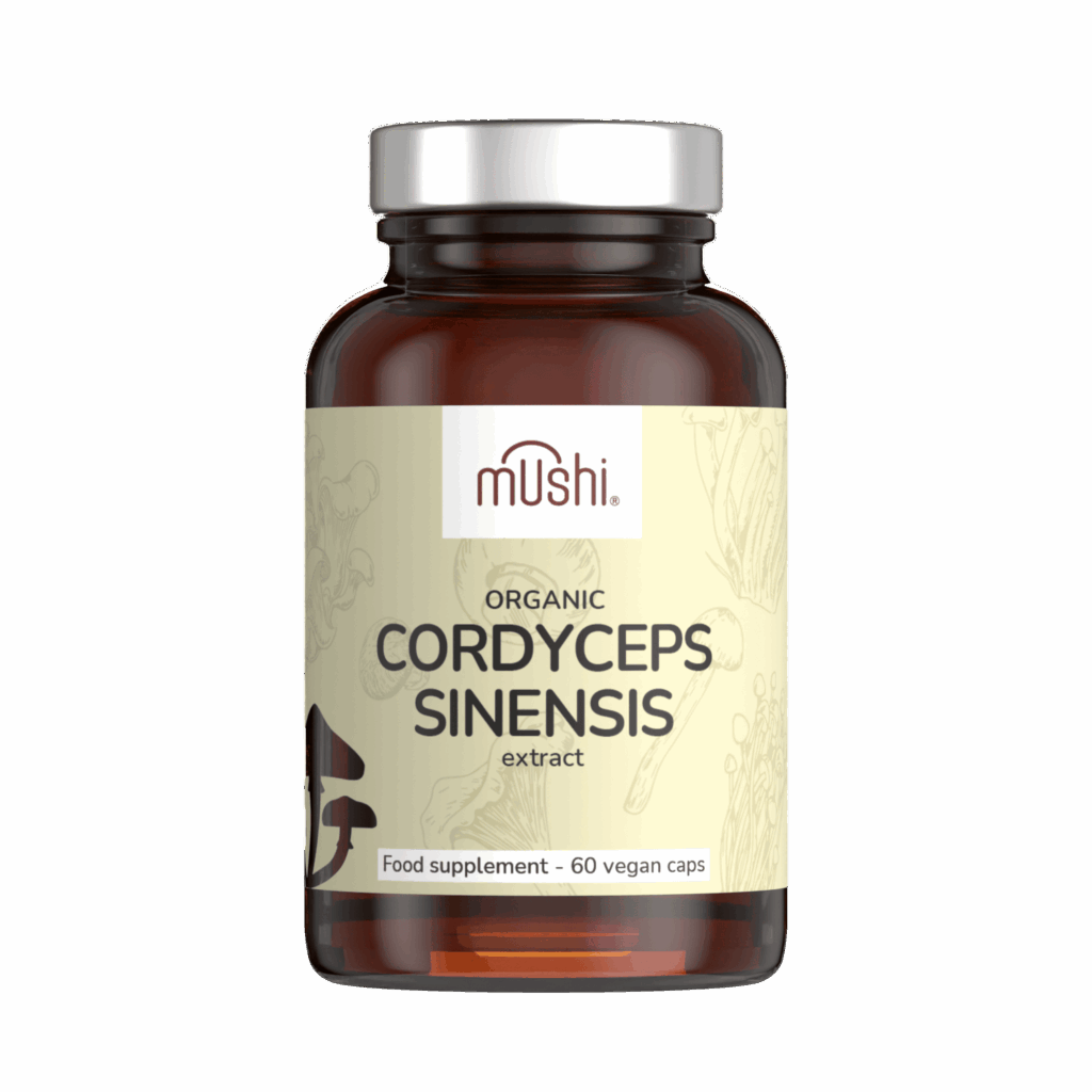 hernyogomba_cordyceps