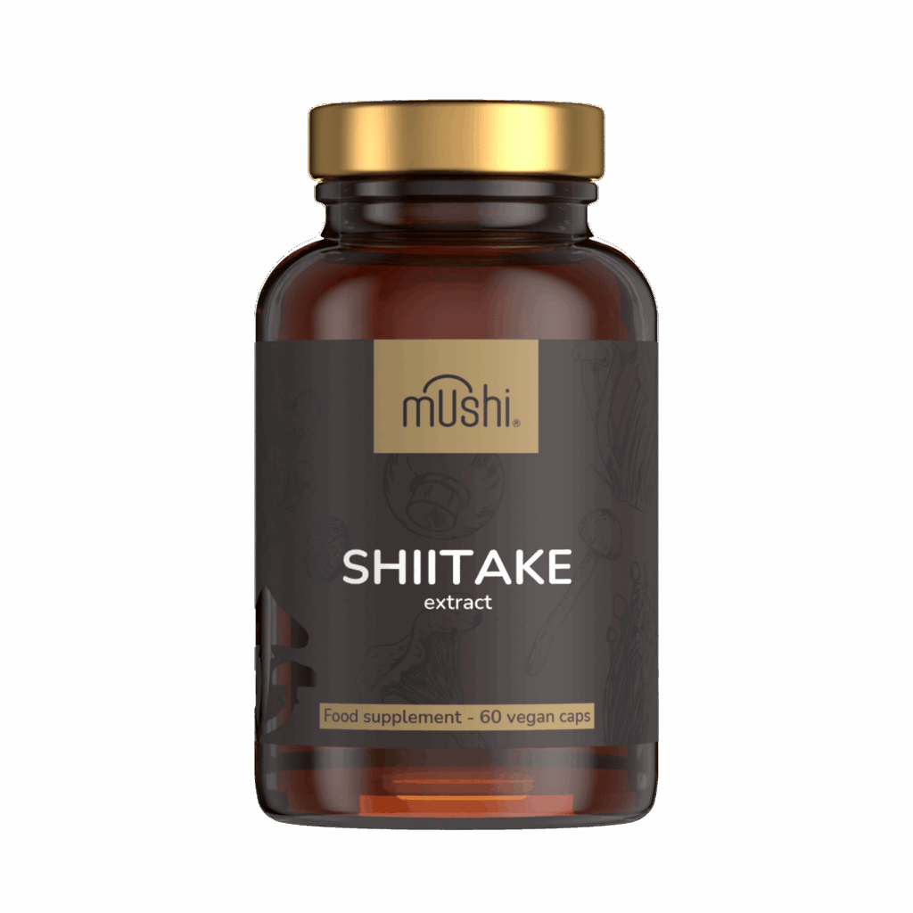 shiitake gomba