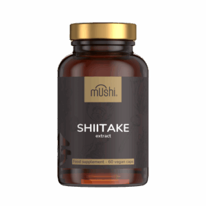shiitake gomba