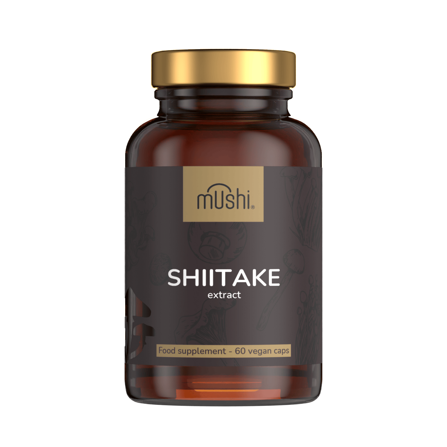shiitake gomba