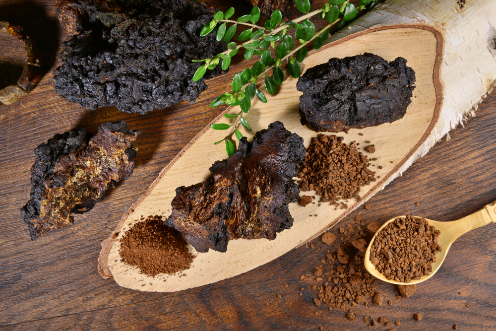 Hamvaskéreg gomba kivonat (Chaga)