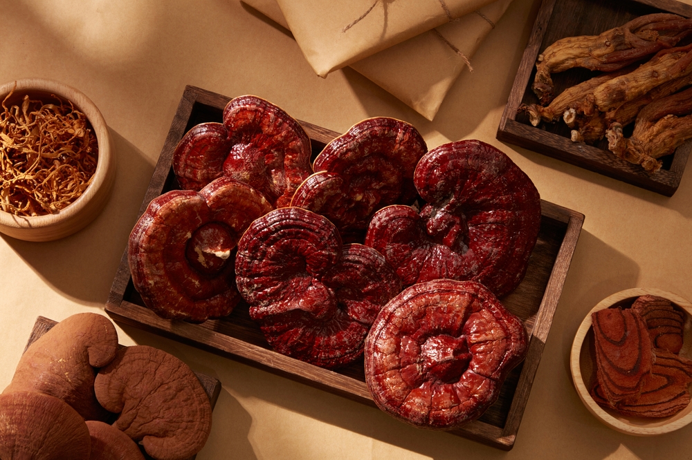 Pecsétviaszgomba kivonat (Ganoderma lucidum)
