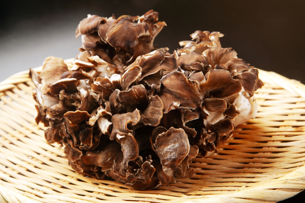 BIO Bokrosgomba kivonat (Maitake) / 90 db