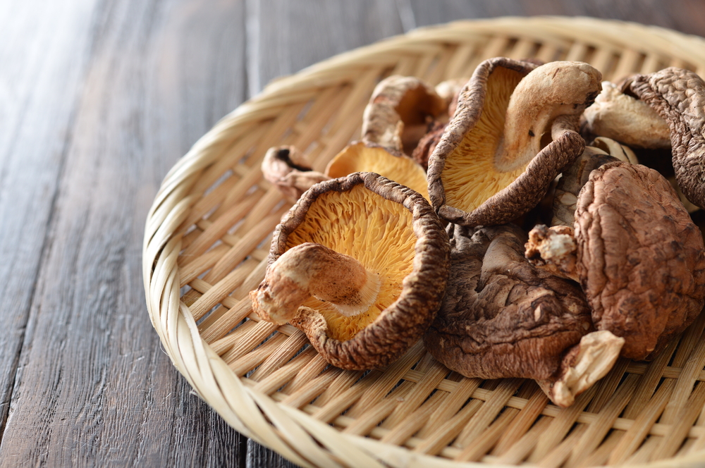 Shiitake gomba kivonat (Lentinula edodes)