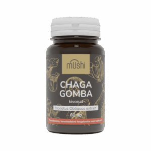 Chaga gomba kivonat - ajándék