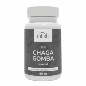 BIO Hamvaskéreg gomba (Chaga) kivonat